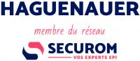 Logo de HAGUENAUER